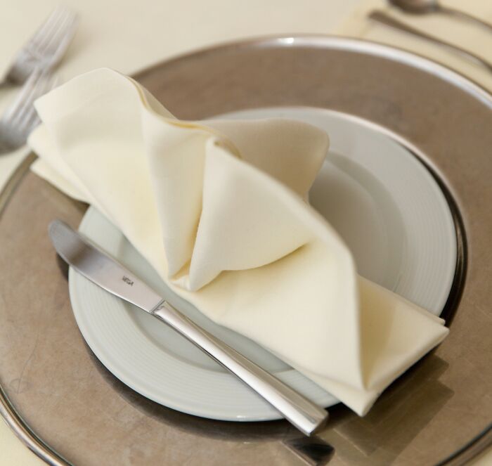 Nicely Presented Napkin 