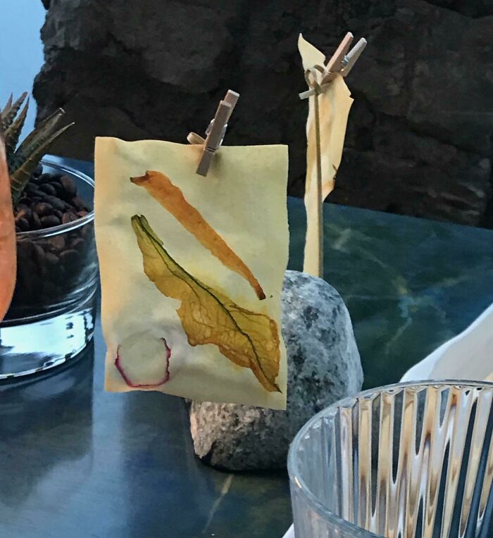 $699/Person. Vegetable Slice On Cracker. Served On A Clothes Line. 3 Michelin Stars