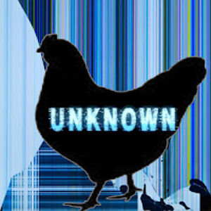 unknownchicken avatar