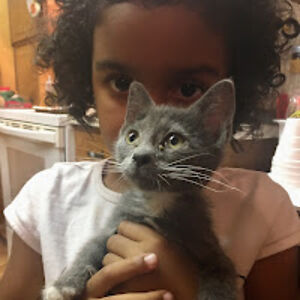 cimeliamcardle avatar