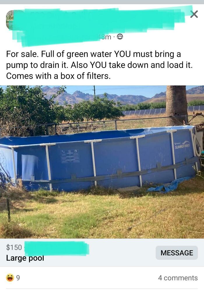 Pay Me $150 To Drain And Remove Swamp Pool From My Lawn. Comes With Filters Though 