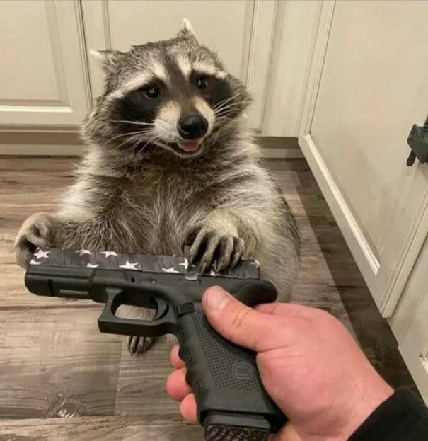 Hmmm
