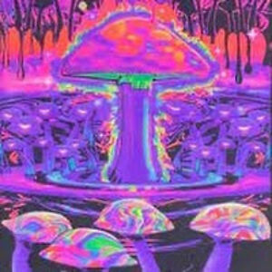 landynperez_1 avatar