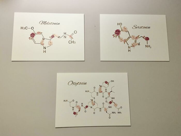 Melatonin, Serotonin and Oxytocin formulas on the wall 