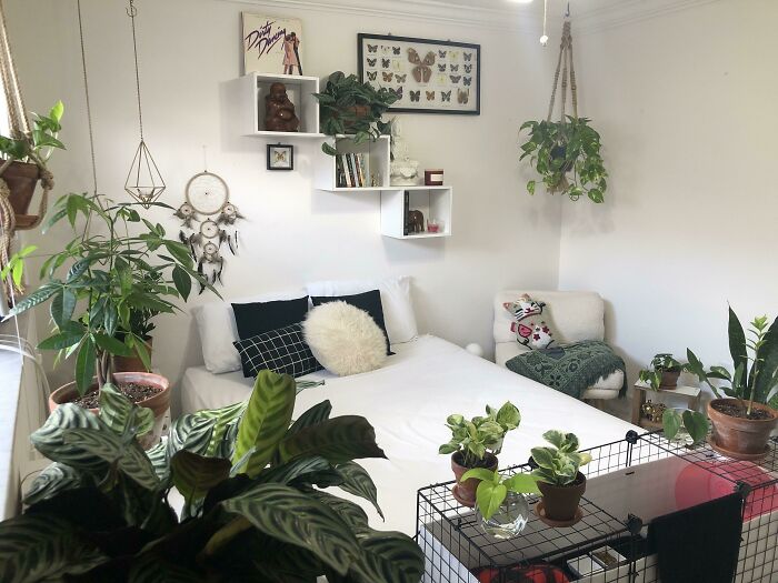 Cozy bedroom with plants, wall art, and decorative shelves, showcasing inviting home decoration ideas.
