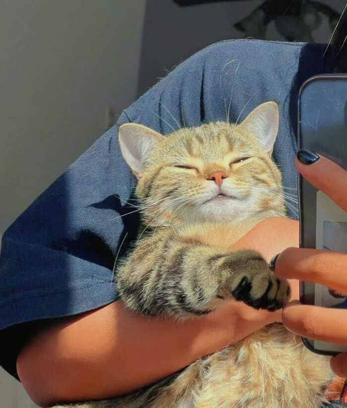 30 Wholesome Pics To Remind You There's Good In The World, As Shared On "Blessed Imageposting"