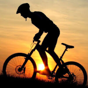 greendesert69 avatar