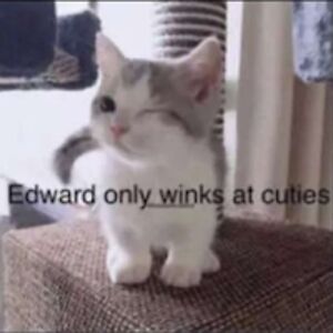 whitneykanaugh avatar