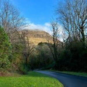 austria_joy819 avatar