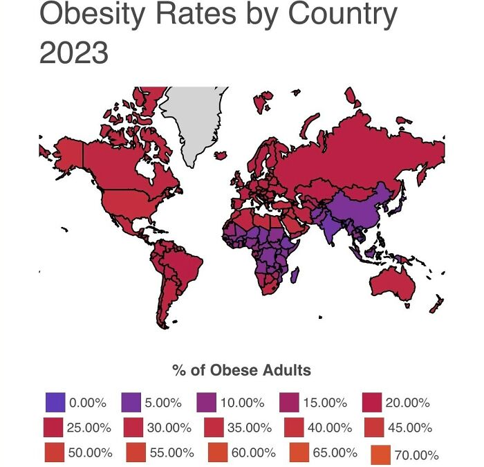 The Color Coding For This Graphic