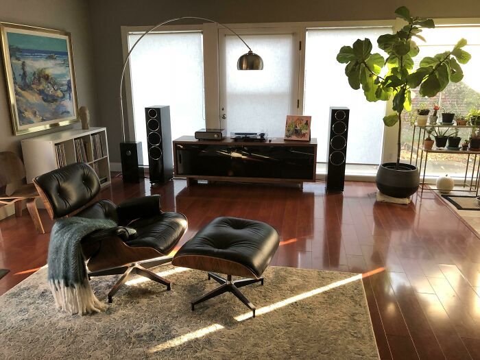 Modern home living room with stylish decor, featuring a lounge chair, floor lamp, and large plant for home decoration ideas.