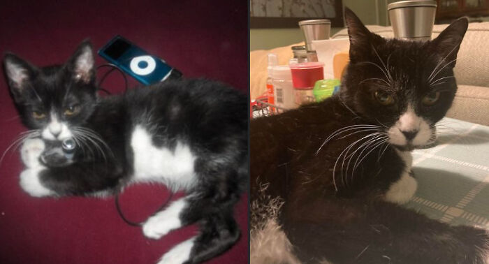 The Same Expression In November 2008 vs. November 2022