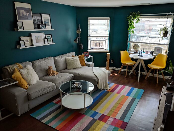 Cozy living room with colorful rug, gray sofa, and modern decor, featuring artwork and a cat.