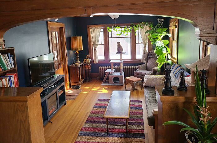 Cozy living room with eclectic home decoration, featuring a cat on a perch, plants, and natural light.
