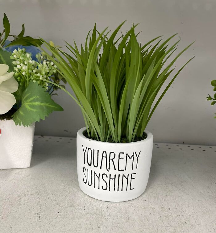 Saw In The Wild And Thought Of You All