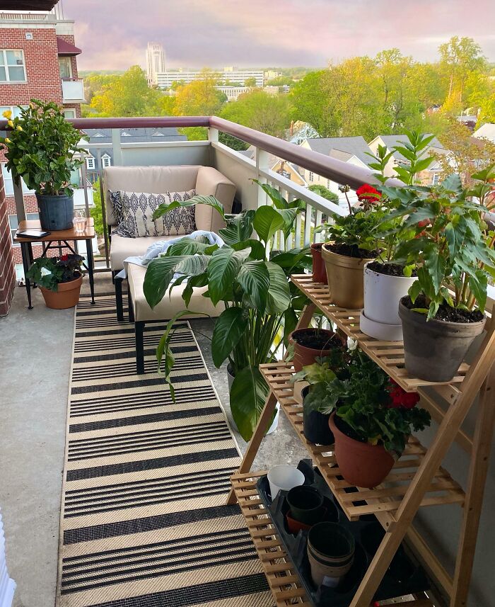 Cozy balcony with plants and sofa, exemplifying stylish home decoration ideas.
