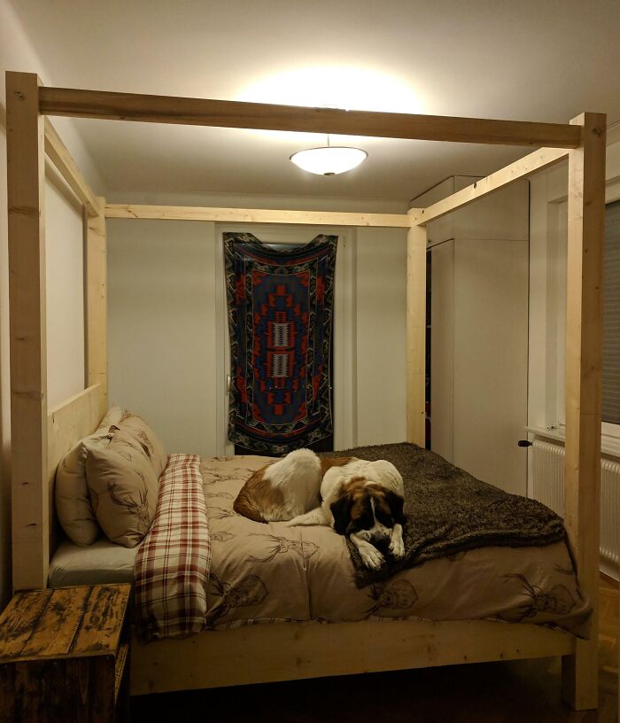 Cozy home decoration idea featuring a rustic canopy bed with a dog resting on it, complemented by a colorful wall hanging.