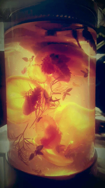 Not A Food So Much, But I Made Some Tea