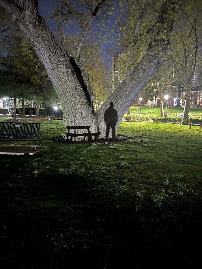 Turning Around To See This Shadow