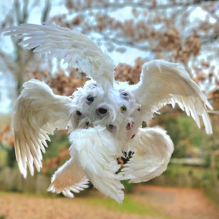 Just Completed This "Biblically Accurate" Angel Sculpture