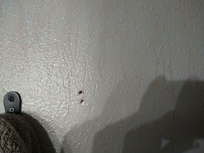 The Walls In My Bathroom "Bleed" After I Take A Shower