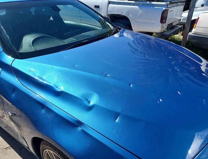 I Wonder Who This Guy Pissed Off