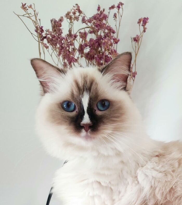 Isn't She Beautiful?