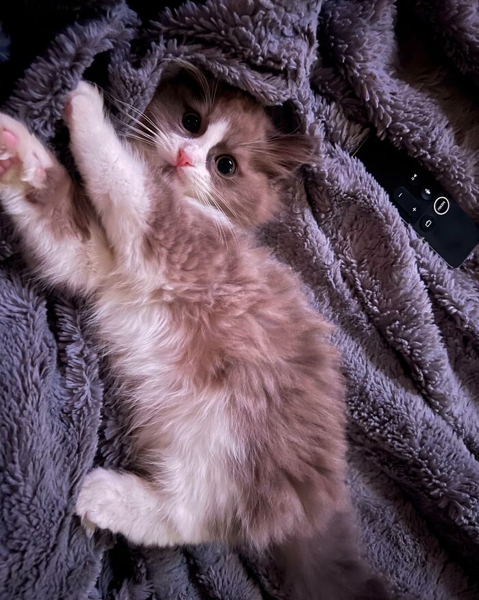 I Am Obsessed With Him