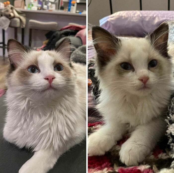 She’s Grown So Much! 5 Months Old As Of Yesterday