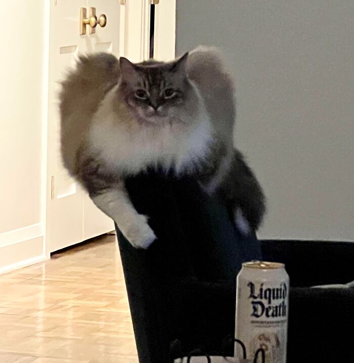 Was Eating Dinner, Looked Up