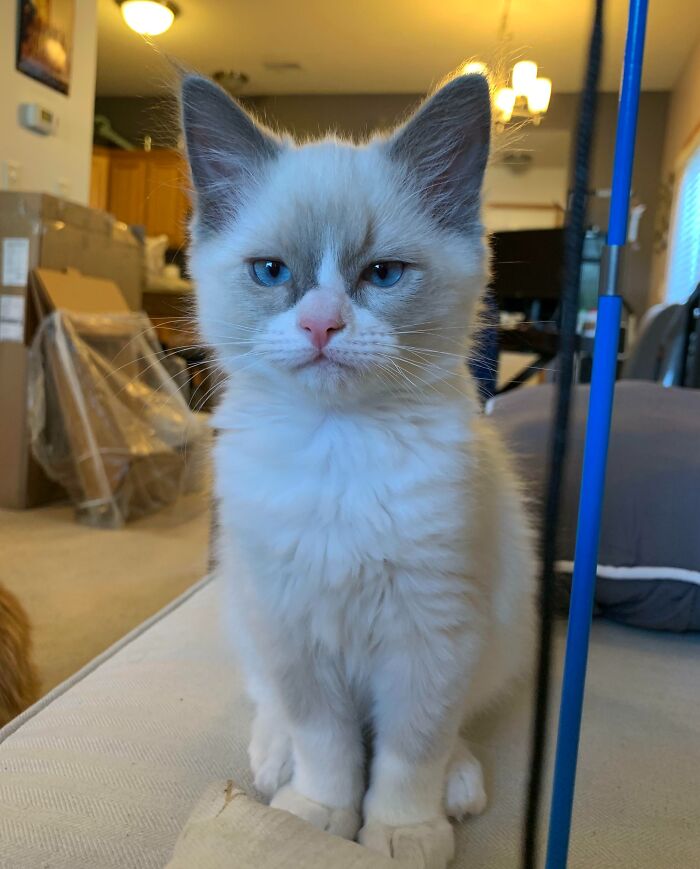 Teddy Knows What You Did. He Does Not Approve