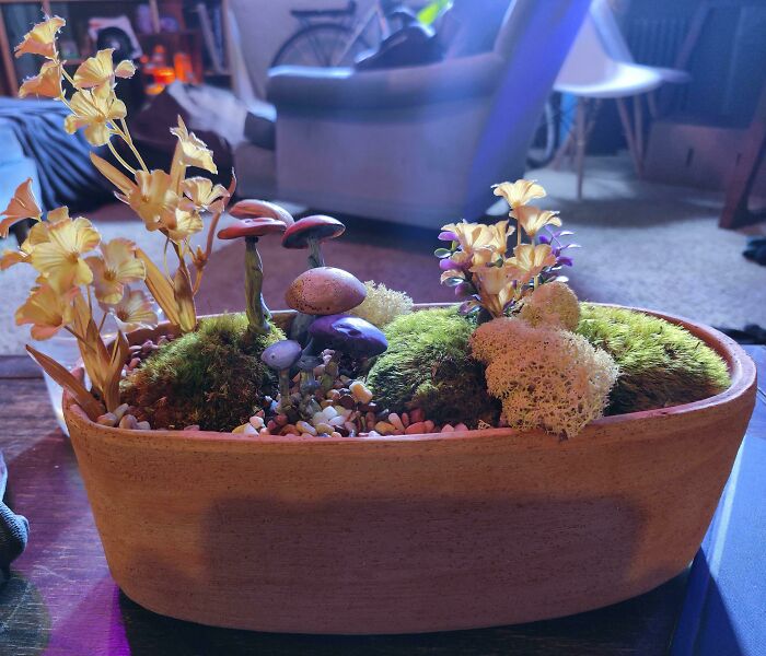 Miniature garden with vibrant flowers and moss, a creative home decoration idea.