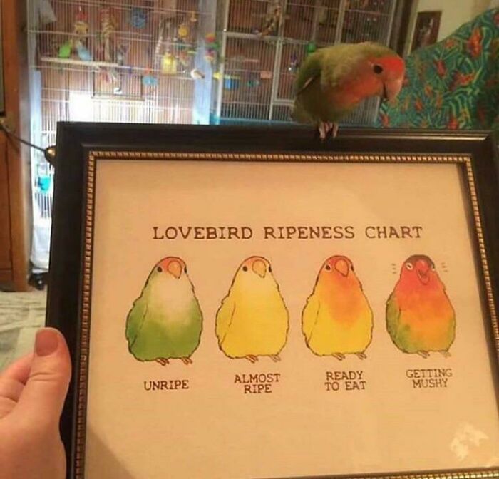 Blursed Chart