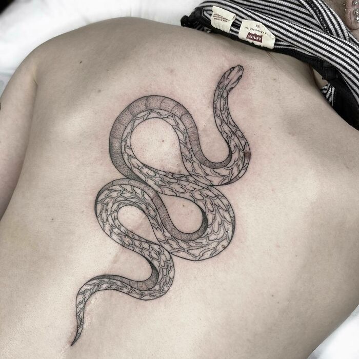 Snake spine tattoo in black ink on a person's back, showcasing intricate detailing and bold outlines.