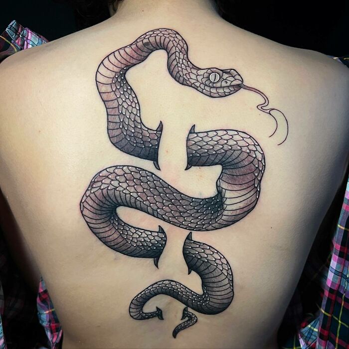 Snake spine tattoo on a person's back with detailed scales and a dynamic pose.