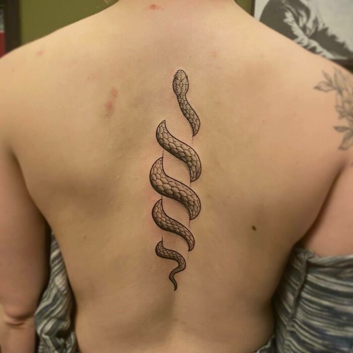 Elegant spine tattoo featuring a detailed snake design on a person's back.