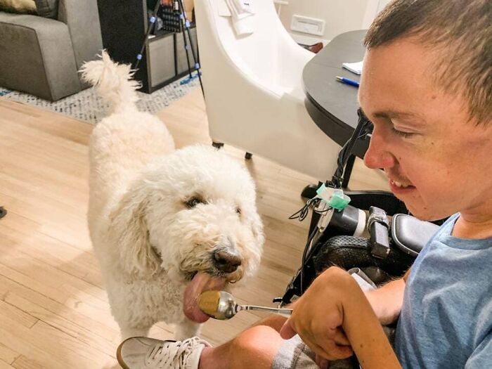 A cute white dog eating from a spoon held by a smiling person, showcasing adorable animals eating moments.