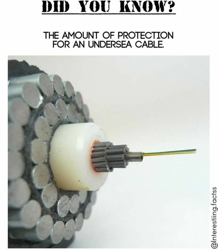 Interesting-Fascinating-Facts