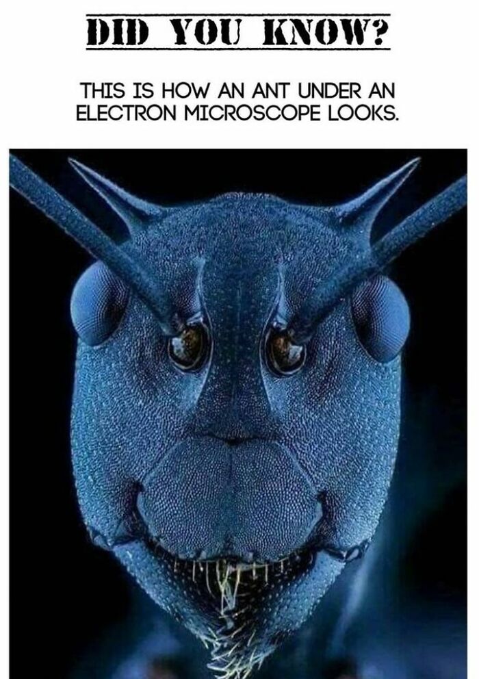 Interesting-Fascinating-Facts