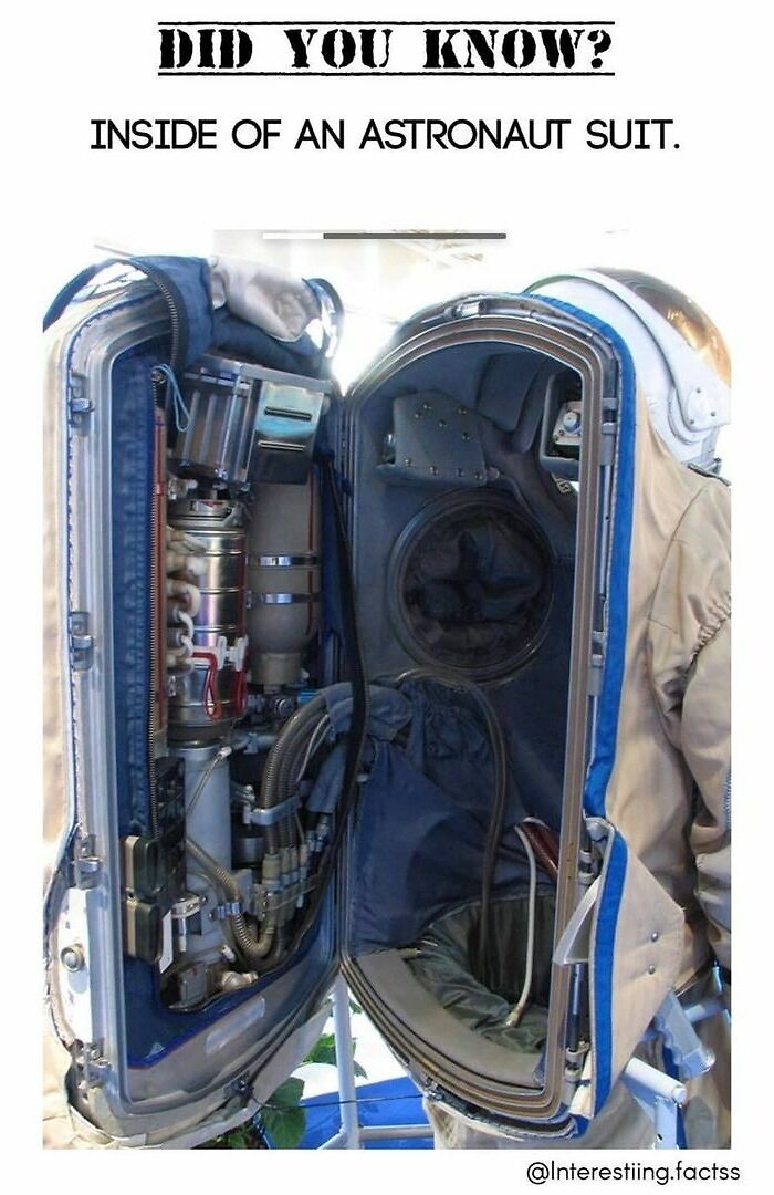 Interesting-Fascinating-Facts