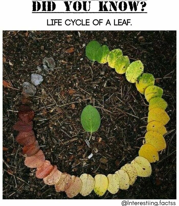 Interesting-Fascinating-Facts