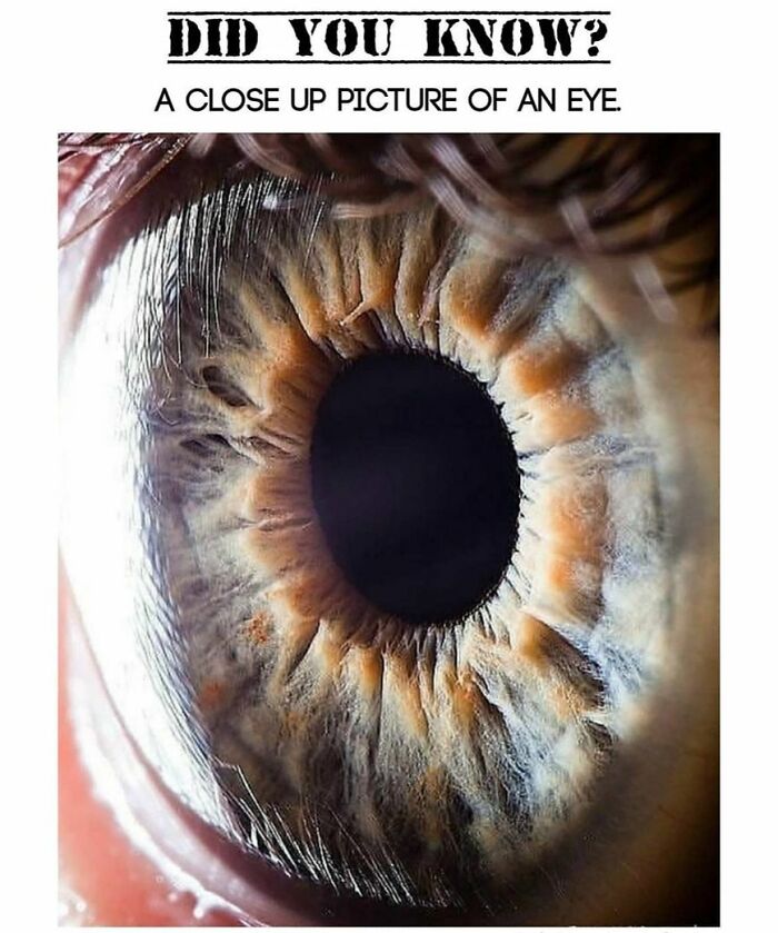 Interesting-Fascinating-Facts