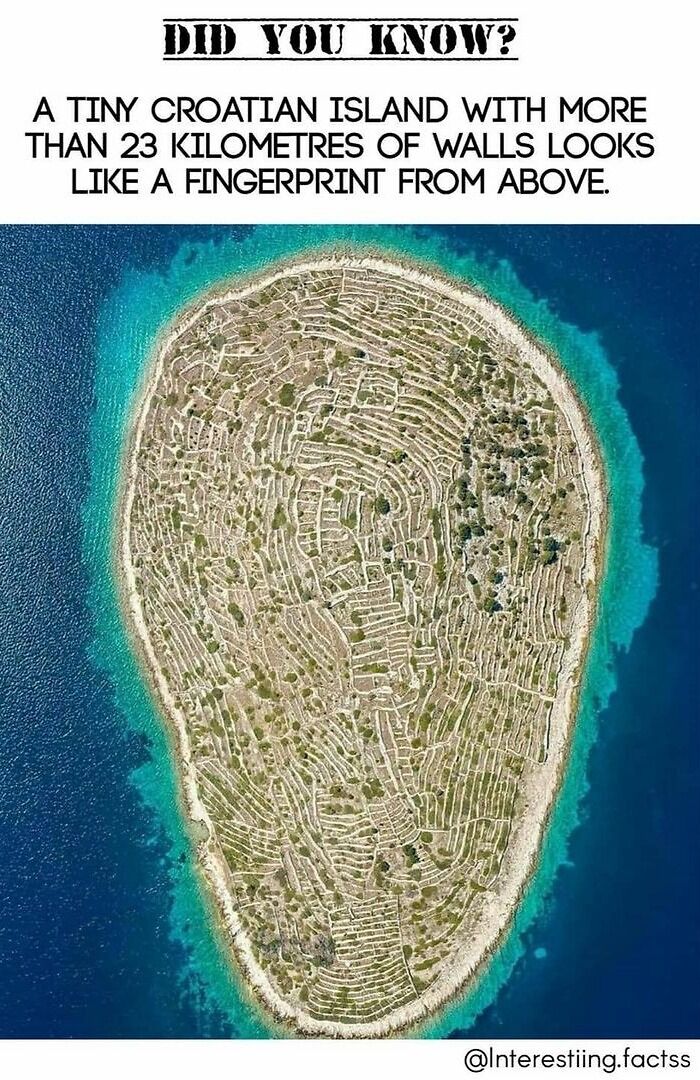 Interesting-Fascinating-Facts