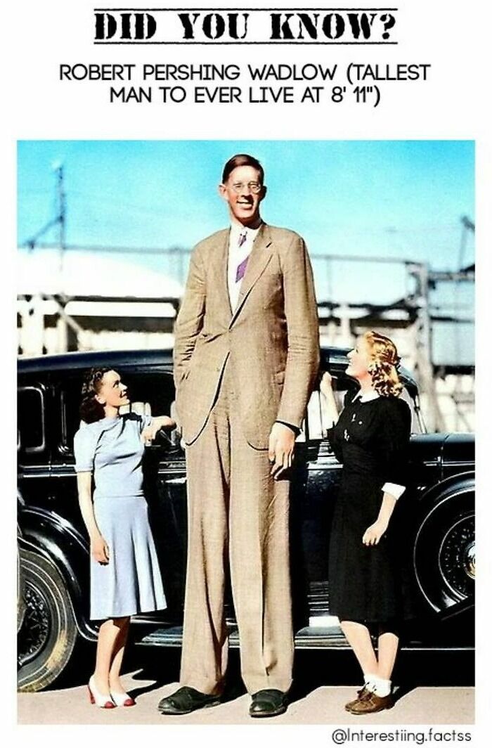 Interesting-Fascinating-Facts