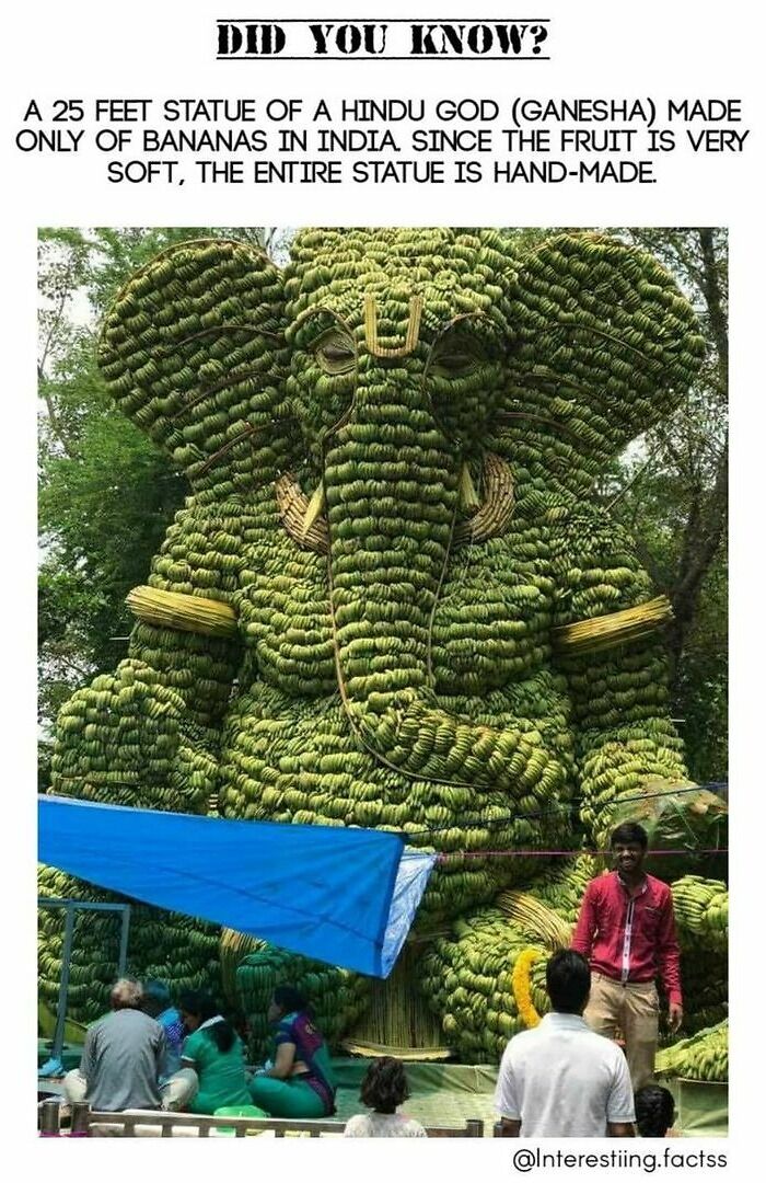 Interesting-Fascinating-Facts