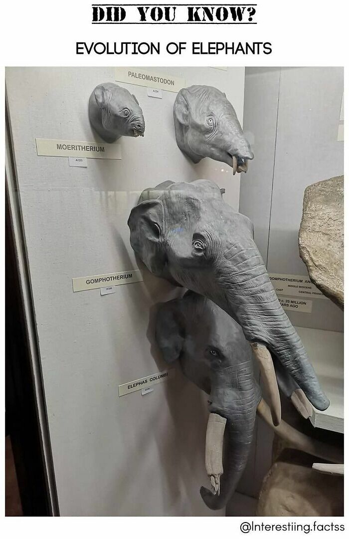 Interesting-Fascinating-Facts