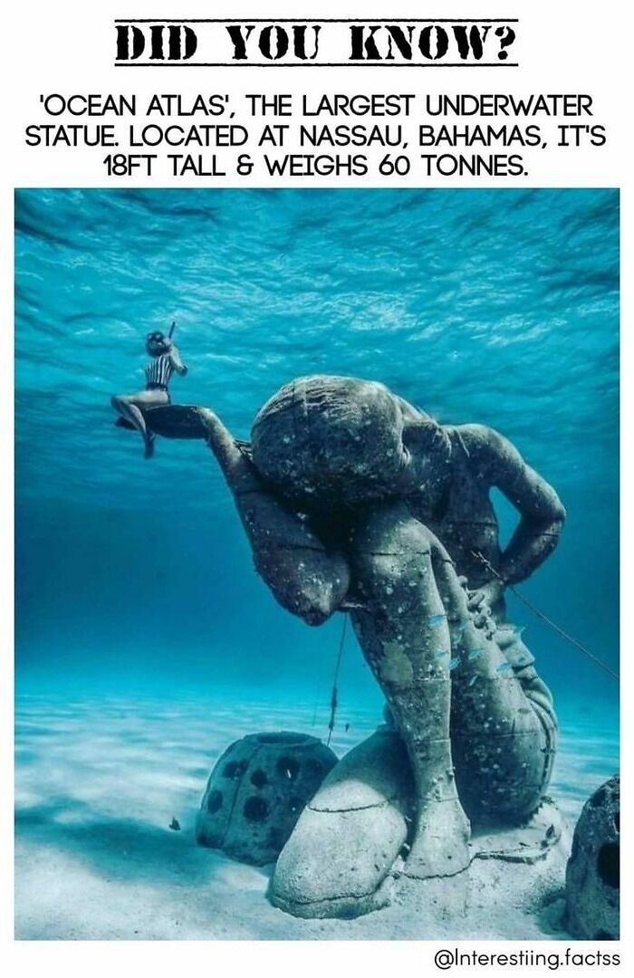 Interesting-Fascinating-Facts