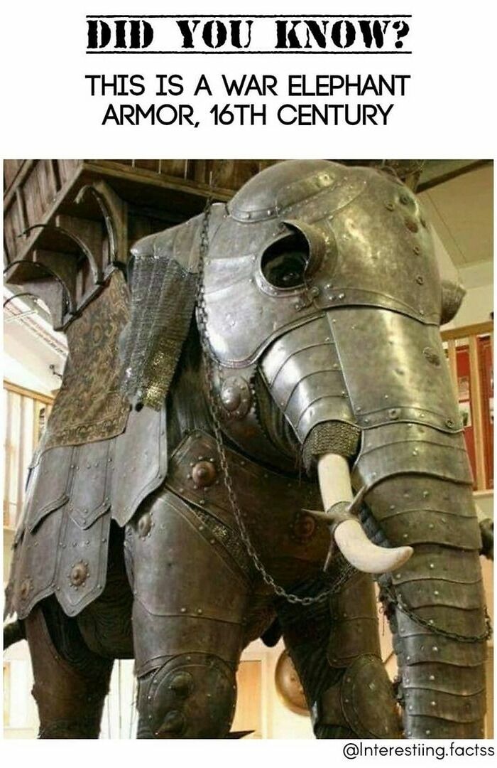 Interesting-Fascinating-Facts