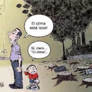 ximenacenteno avatar