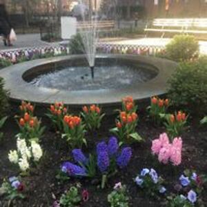 joellynausanka avatar